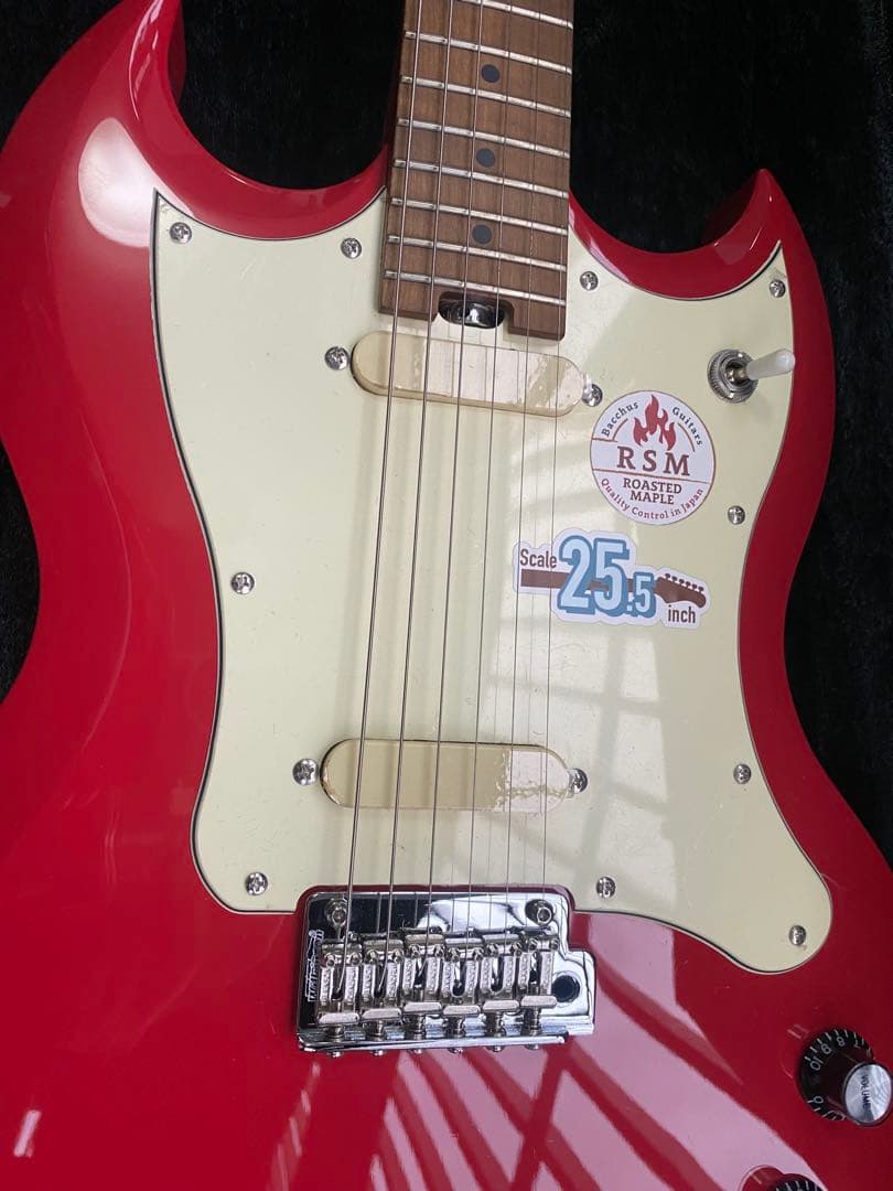 値下げ　BACCHUS BSM-STD/RSM/FR ハードケース別売り