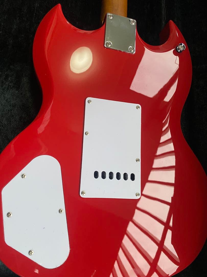 値下げ　BACCHUS BSM-STD/RSM/FR ハードケース別売り