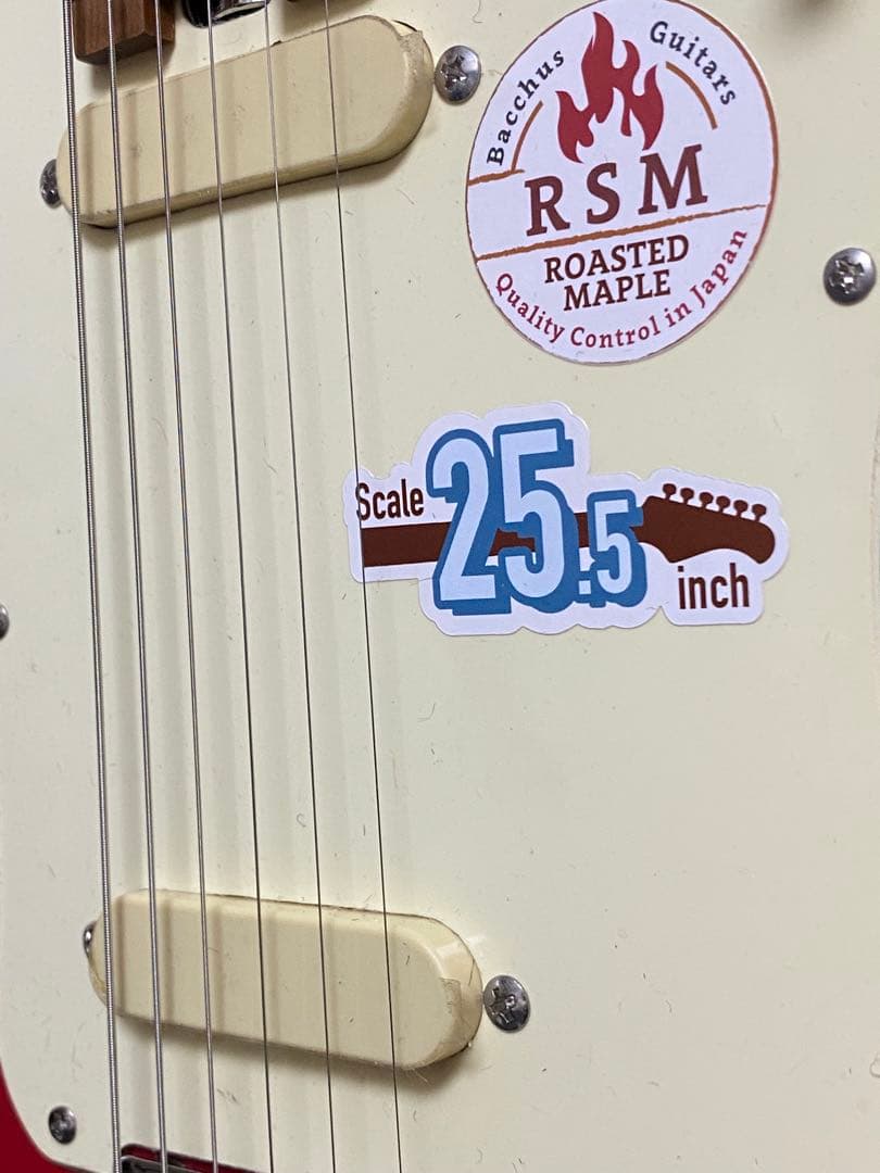 値下げ　BACCHUS BSM-STD/RSM/FR ハードケース別売り