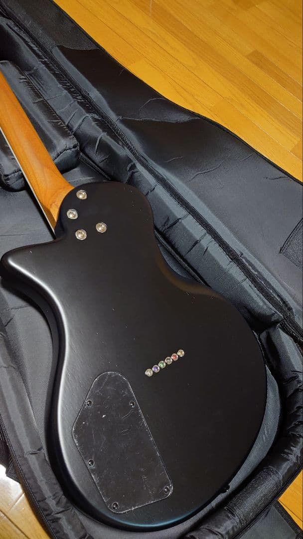 エレキギター マットブラック ケース付き