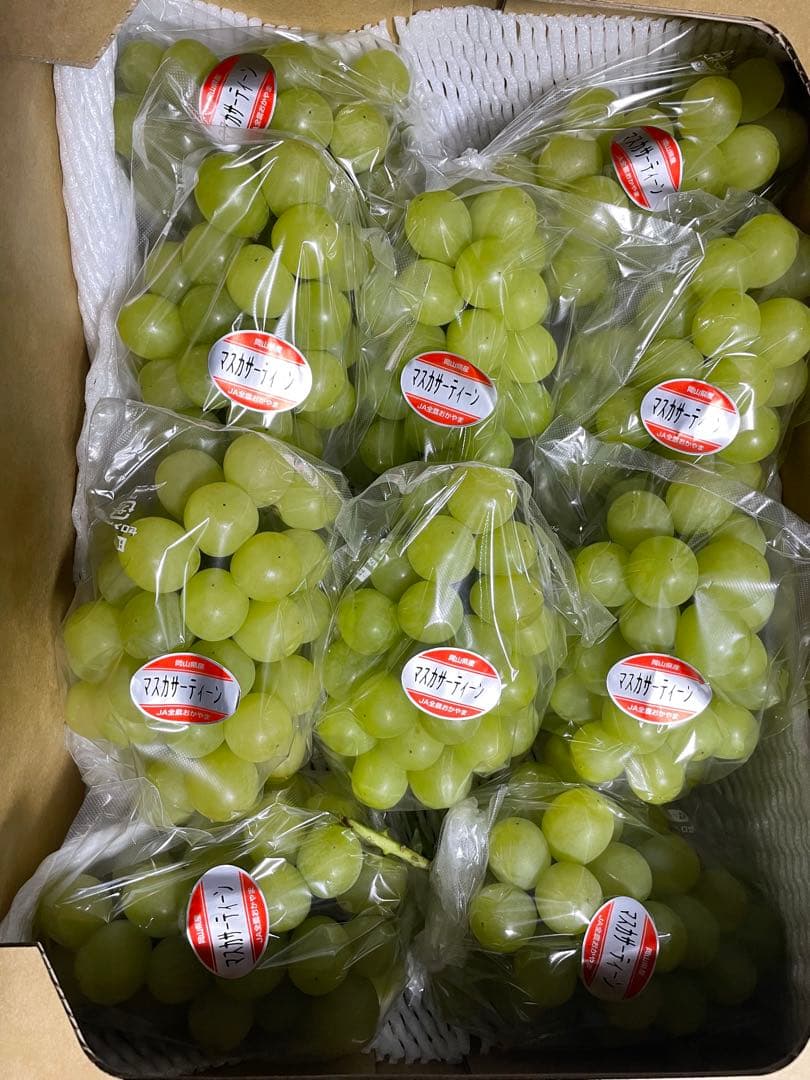 ① 【岡山県産】マスカサーティーン(葡萄)9〜10房 約5キロ