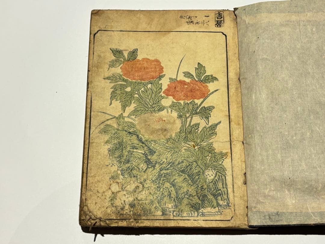 男色図入り「女貞訓下所文庫」月岡雪鼎 明和五年頃刊 1冊|浮世絵 春画 艶本和本