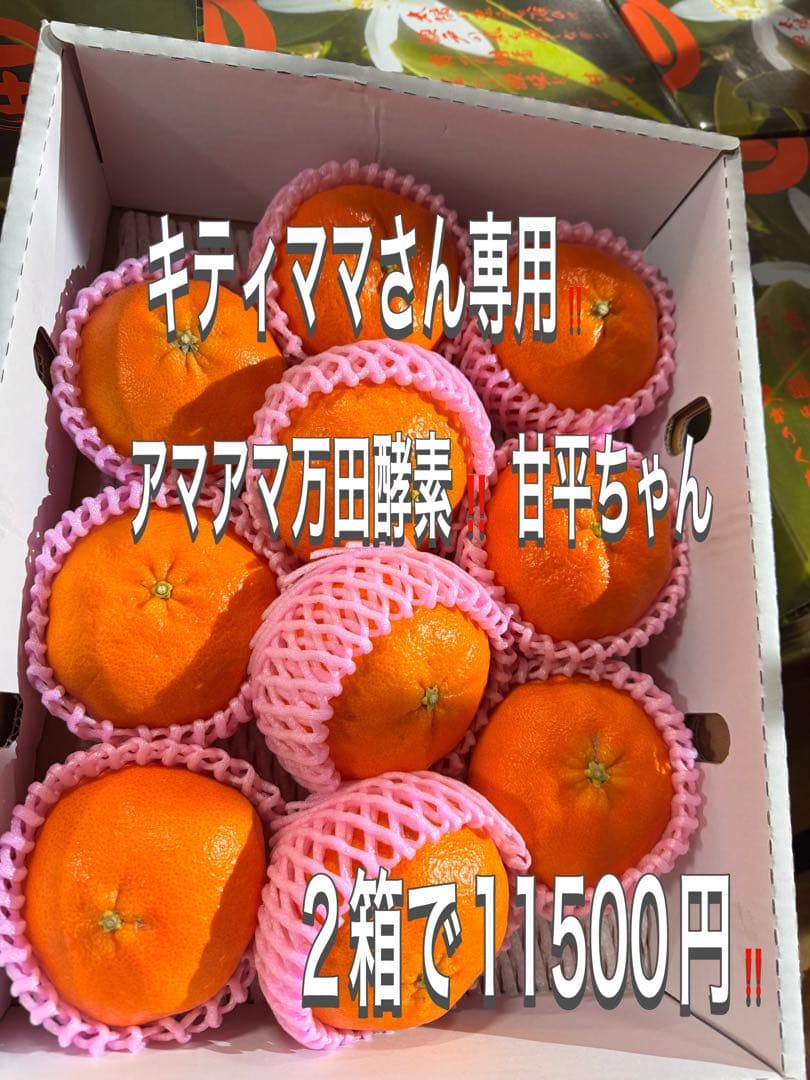 キティママさん専用‼️万田酵素栽培！甘平/2箱