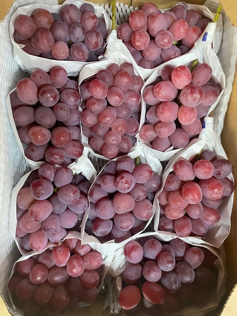 ① 【岡山県産】富士の輝　10房 約5キロ