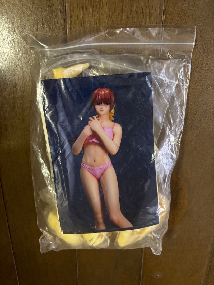 DEAD OR ALIVE デッドオアアライブ　かすみ　ガレージキット