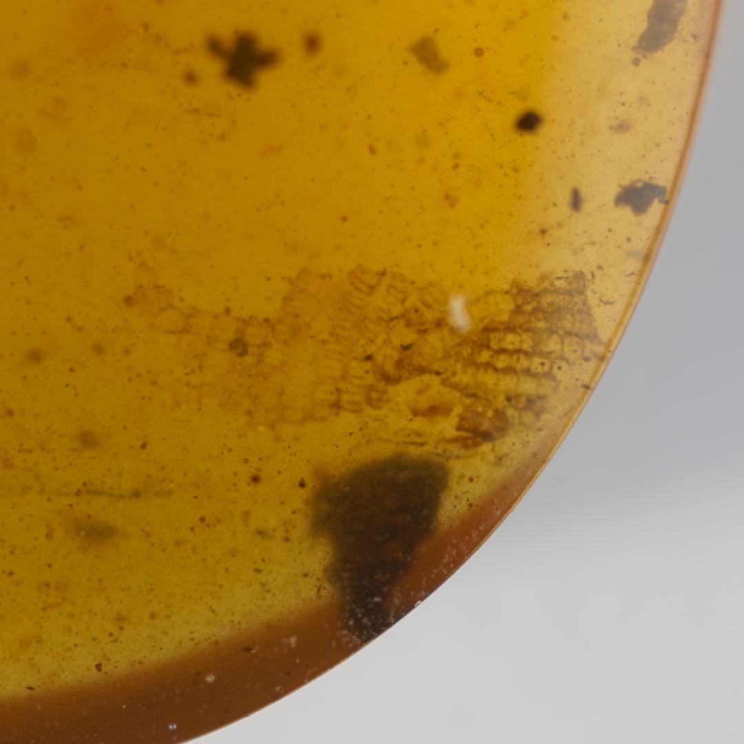 レア極上品TA0026虫入り琥珀化石　ミャンマーカムティかタナイ9900万年前