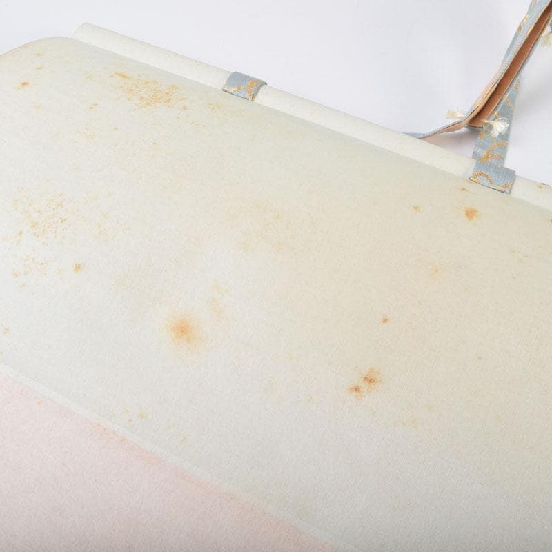 掛軸　紫野　小林太玄書　宗峯画賛　「紅葉の図」　もみじばに　共箱　C　8690A