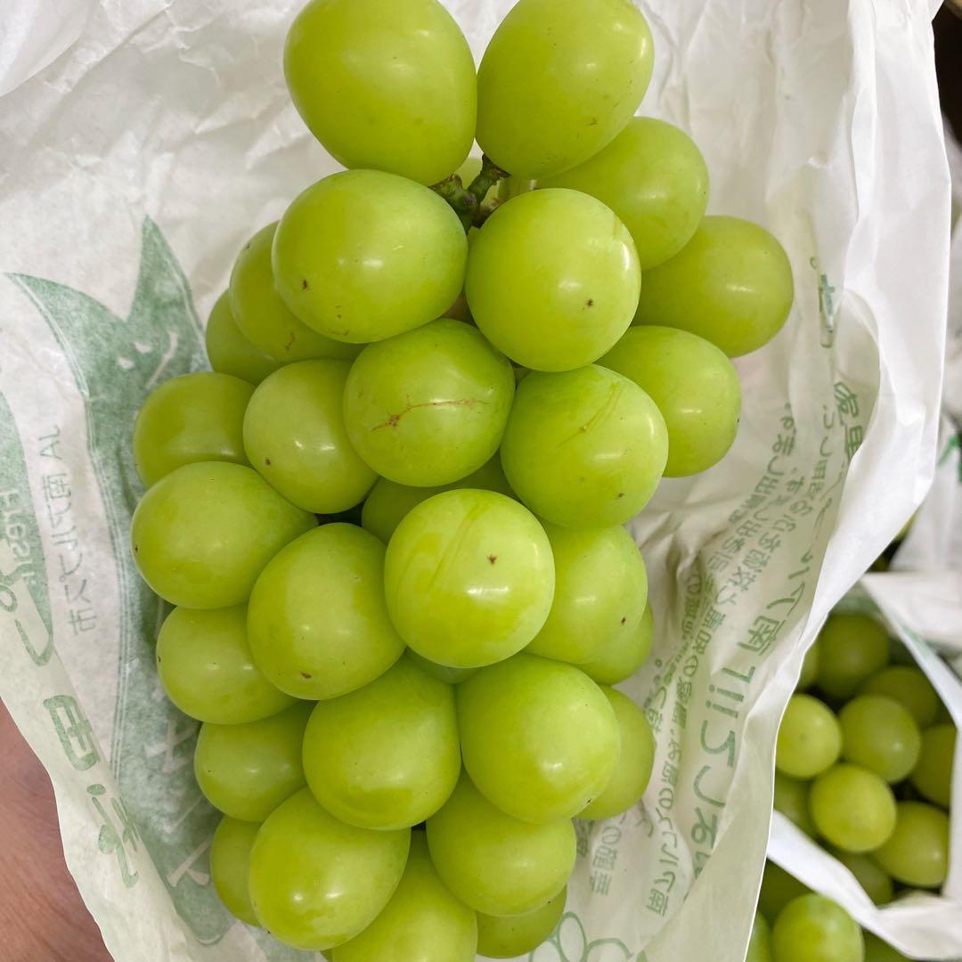 山梨県産　訳あり　家庭用　シャインマスカット　11房　箱込み5.6kg ⑬