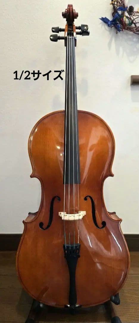 carlogiordanoカルロジョルダーノ チェロ　sc100 1/2