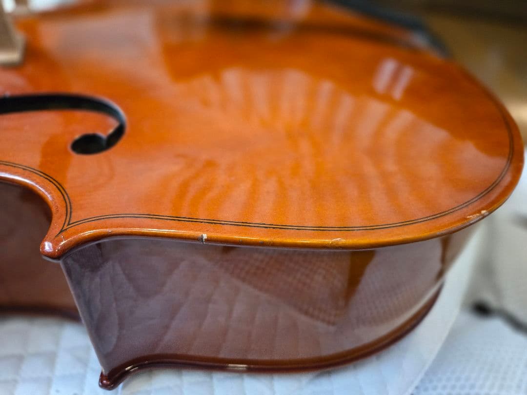 carlogiordanoカルロジョルダーノ チェロ　sc100 1/2