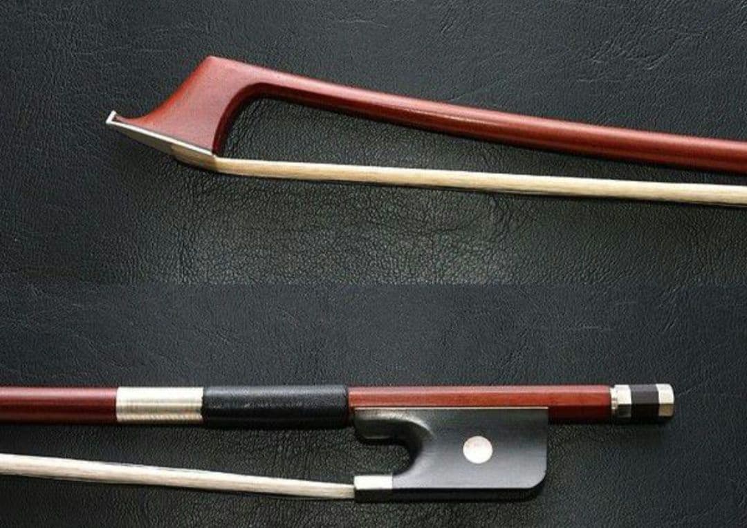 carlogiordanoカルロジョルダーノ チェロ　sc100 1/2