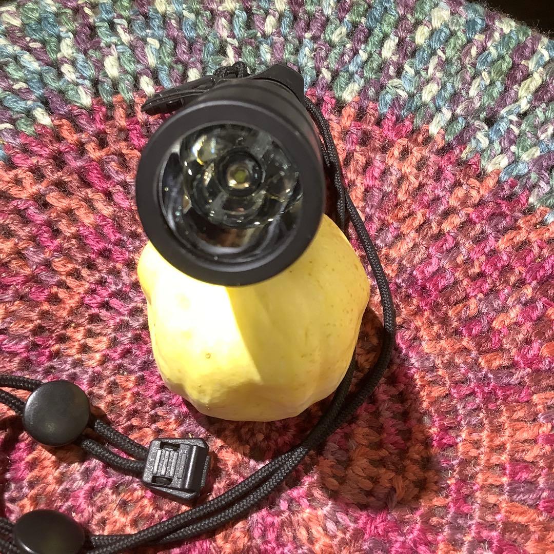 INSIGHT H2X Typhoon フラッシュライト　ポーチ付き