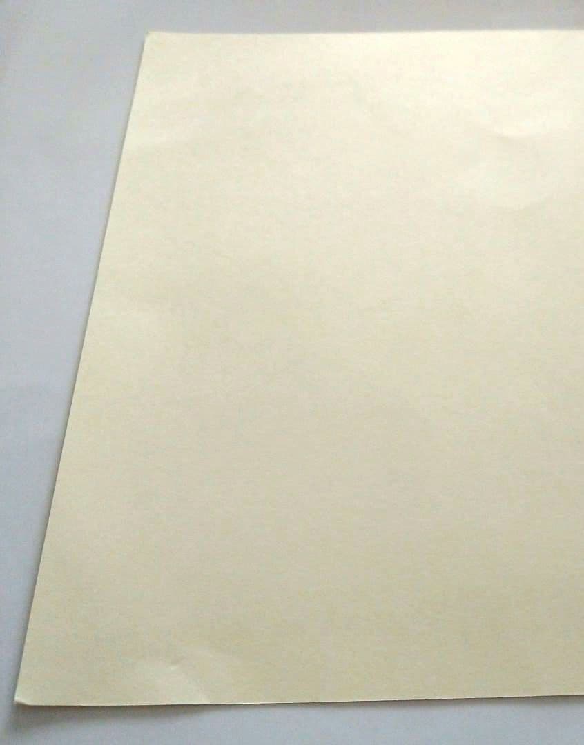 菅田将暉 サイン 二十歳 誕生日 ファン イベント グッズ