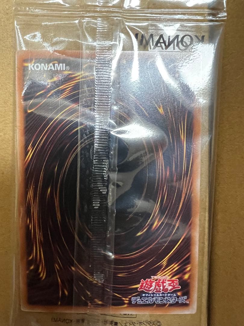 幻のカオス・ソルジャー