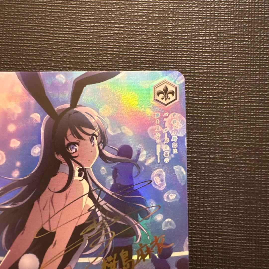 泡沫の存在　桜島 麻衣　TDSP