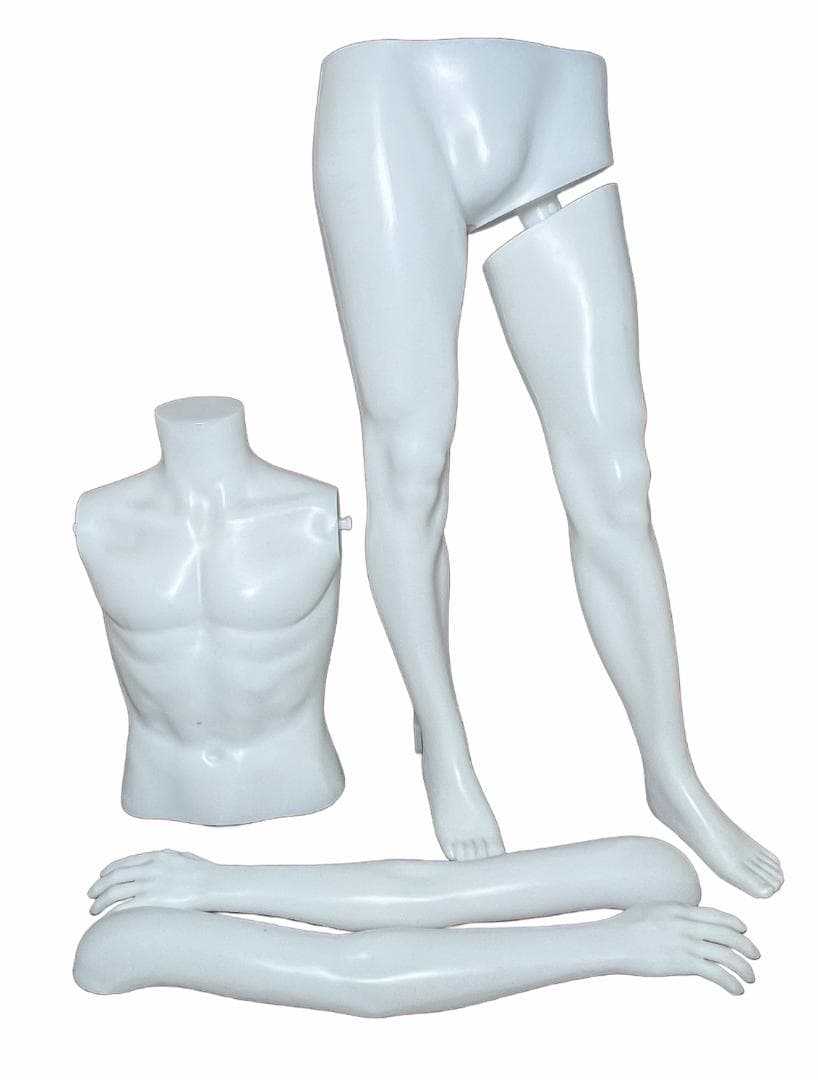 ひ*ま様 マネキン ボディトルソー ヘッドカットマネキン 軽量PE製 着せ替え楽