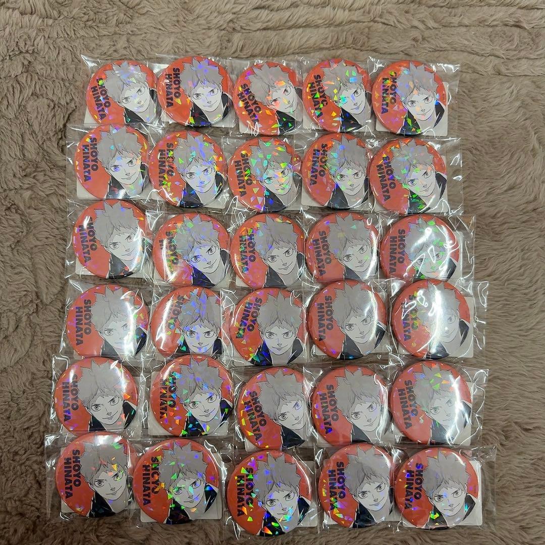 【ハイキュー!!】日向翔陽