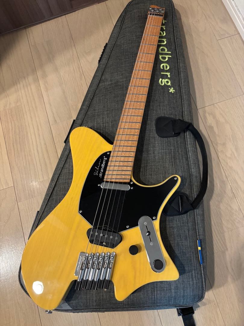 ギター strandberg* Salen classic