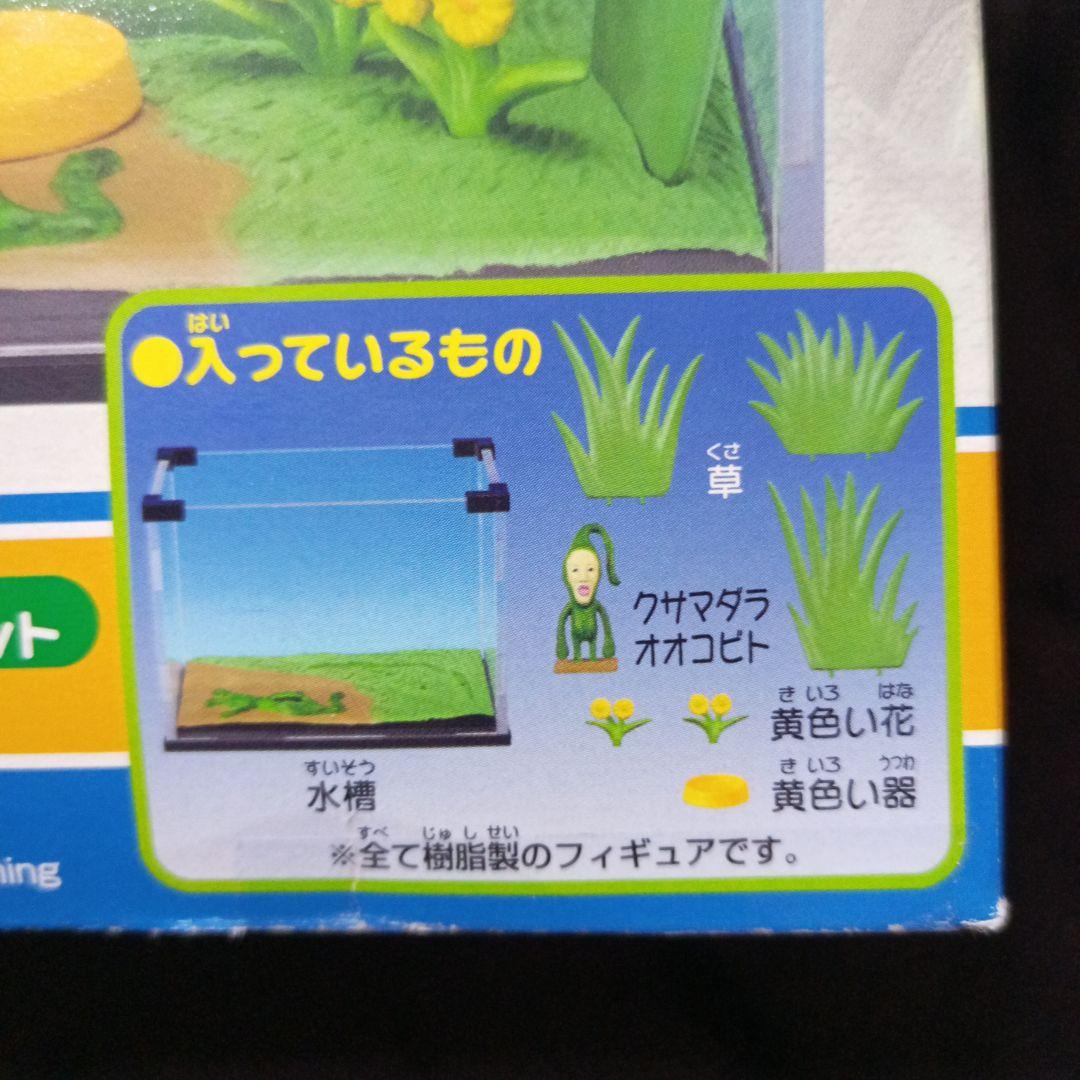 カバヤ こびとづかん 飼育セット 全5種