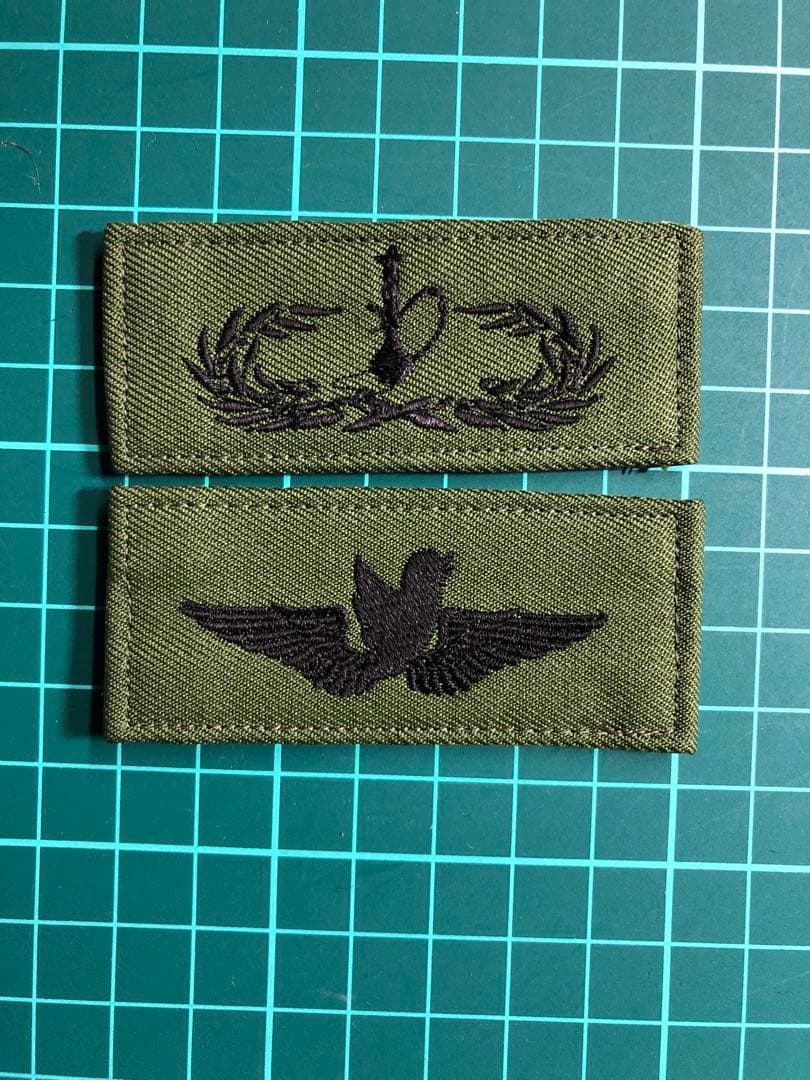 オリジナル　ベルクロタイプ２枚