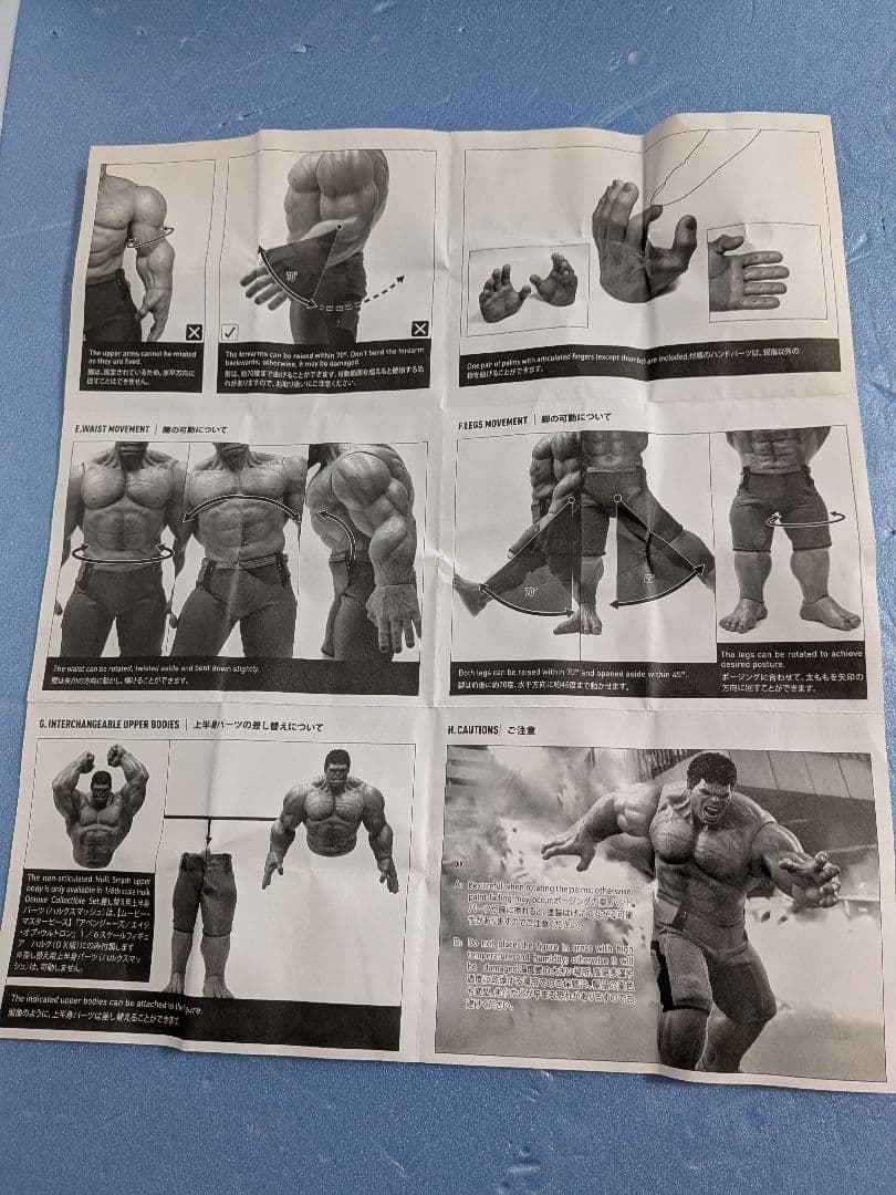 専用・ポチョムキンさまハルク フィギュア1/6