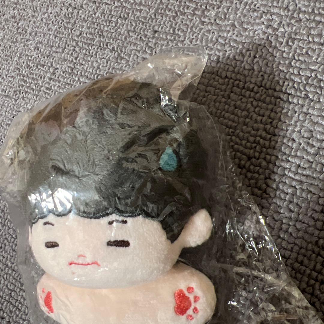 nct チソン　ぬいぐるみ　10cm 新品　マスター