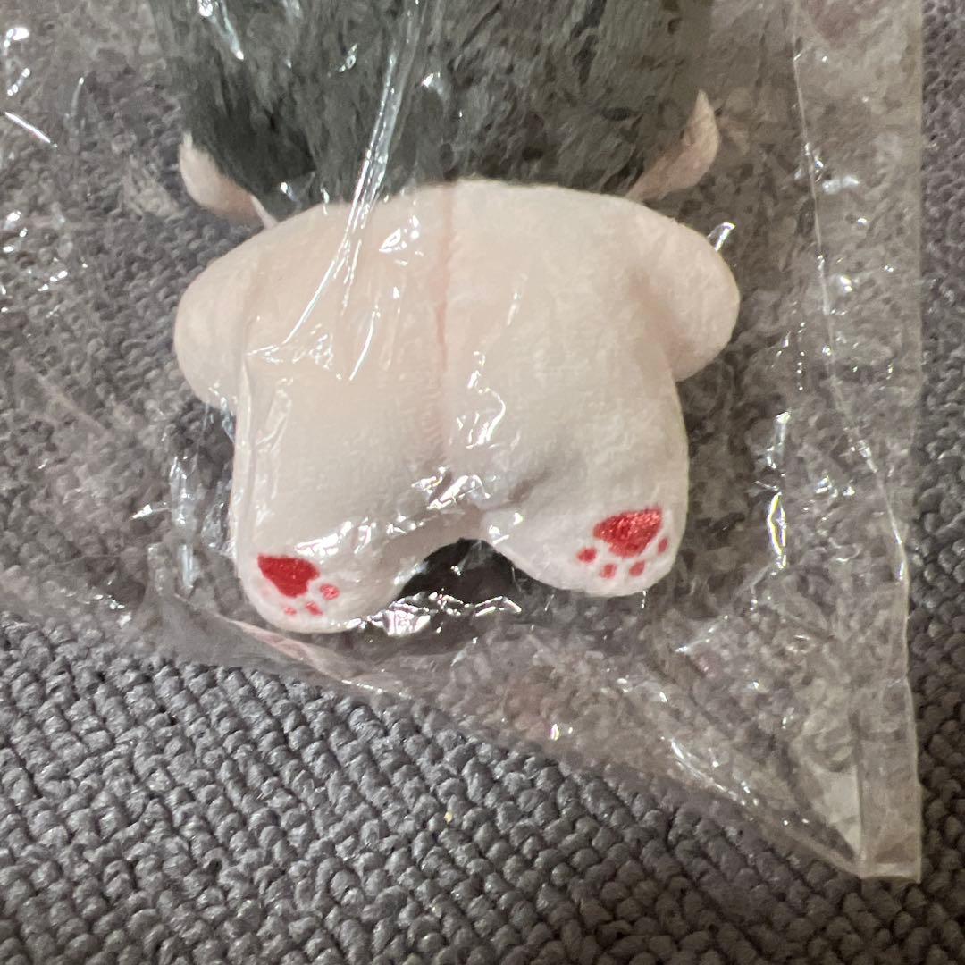 nct チソン　ぬいぐるみ　10cm 新品　マスター