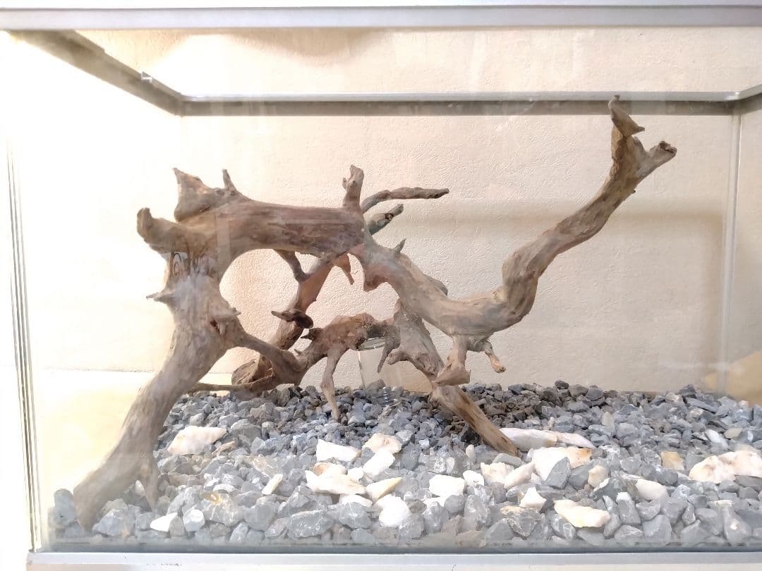 流木Ｎｏ．Ａ23　春まで休みます