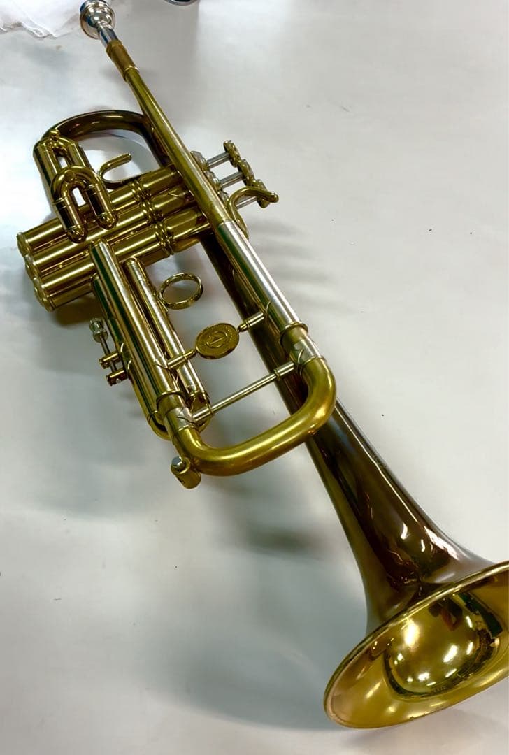 管楽器・吹奏楽器 Holton T101