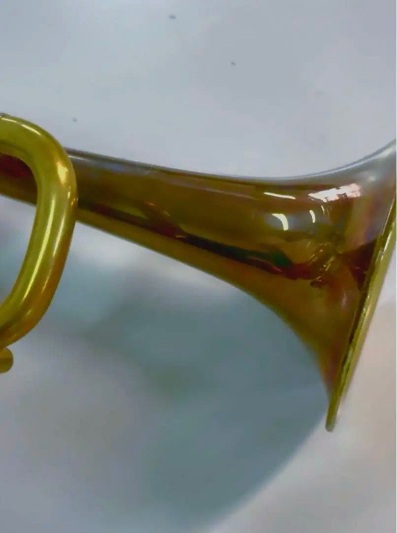 管楽器・吹奏楽器 Holton T101