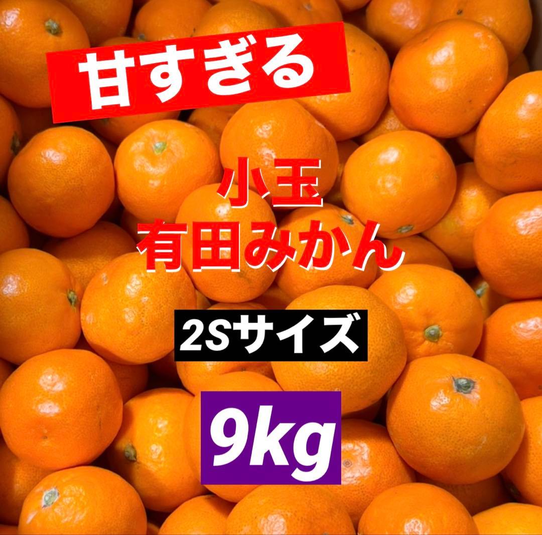 203)数量限定　甘すぎる　有田みかん　果物 　みかん　小玉　旬