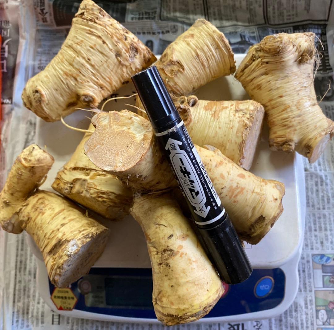 旨辛‼️北海道山ワサビ太物　5kg