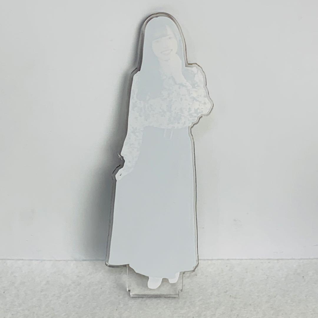 塩澤美咲 日本ハムファイターズガール　アクスタ＆アクキー グッズセット