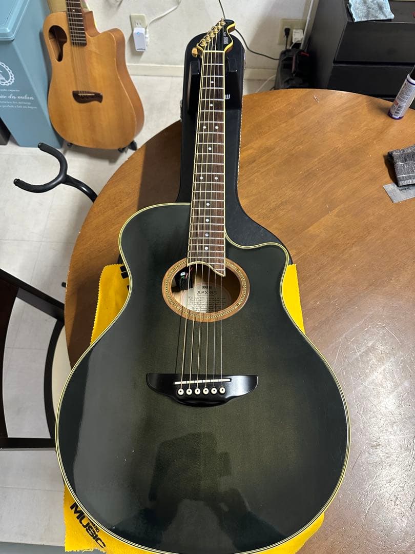 ド*ー様 YAMAHA APX-8S 長渕剛氏