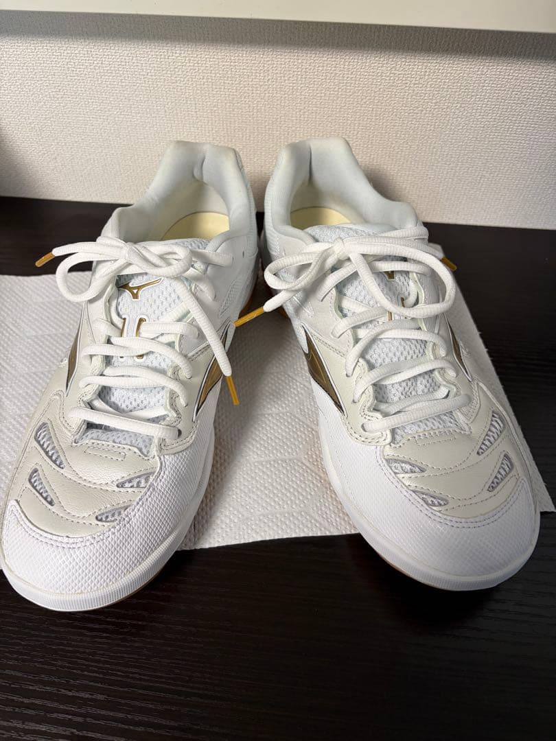 ミズノ ウェーブファングプロ