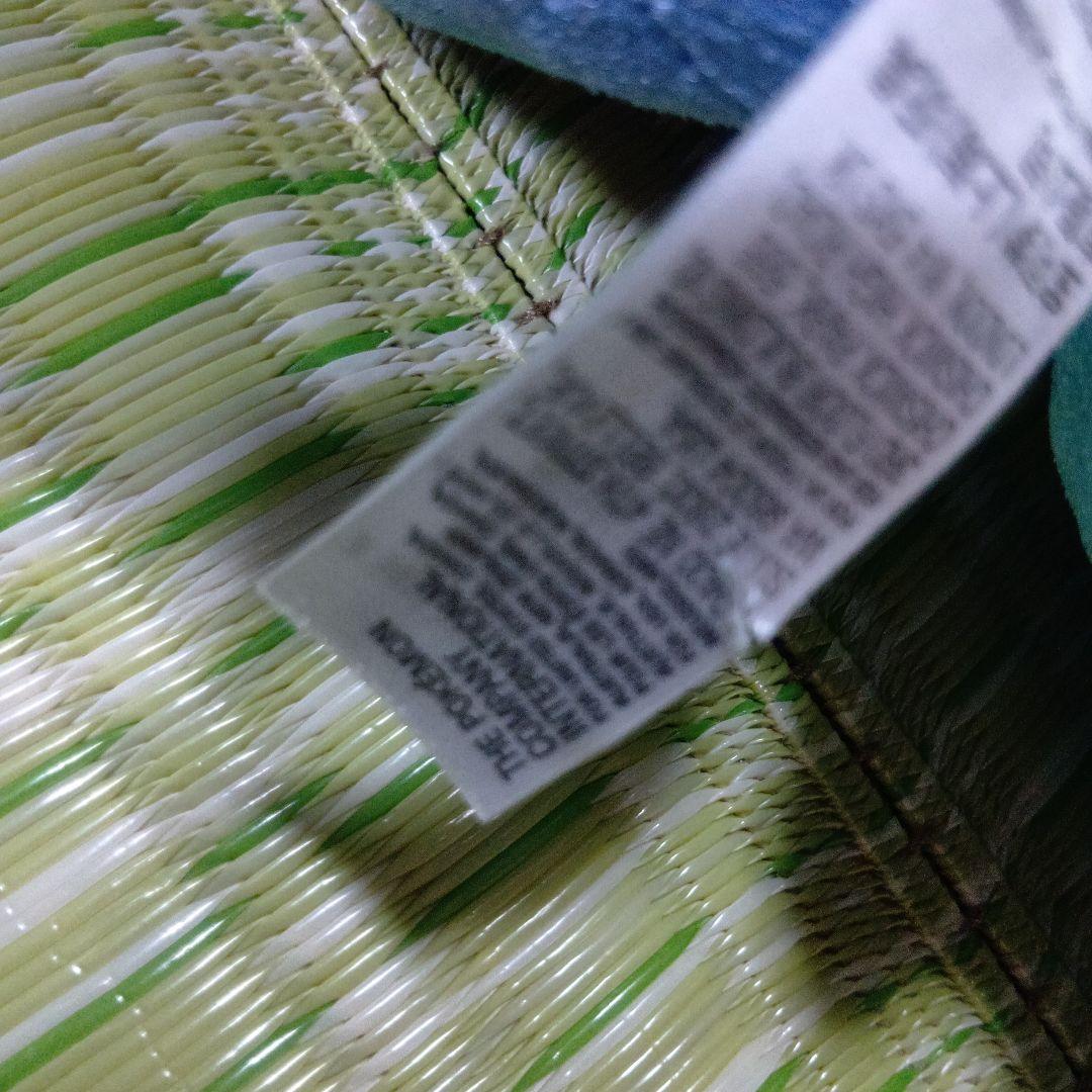 テラパゴス　ぬいぐるみ　ポケモンセンター