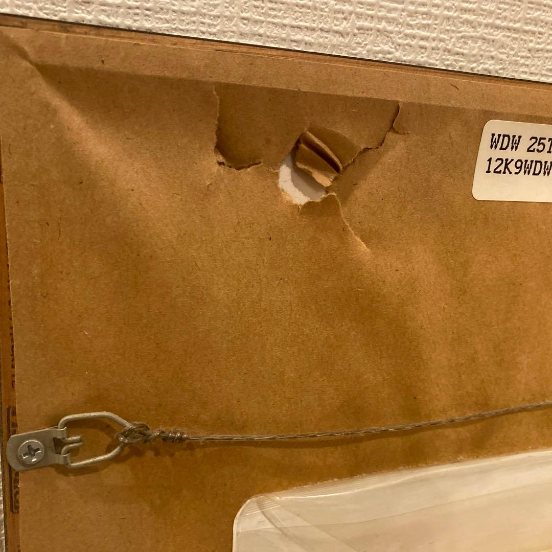 ディズニーワールド25周年7500枚限定シルクスクリーン