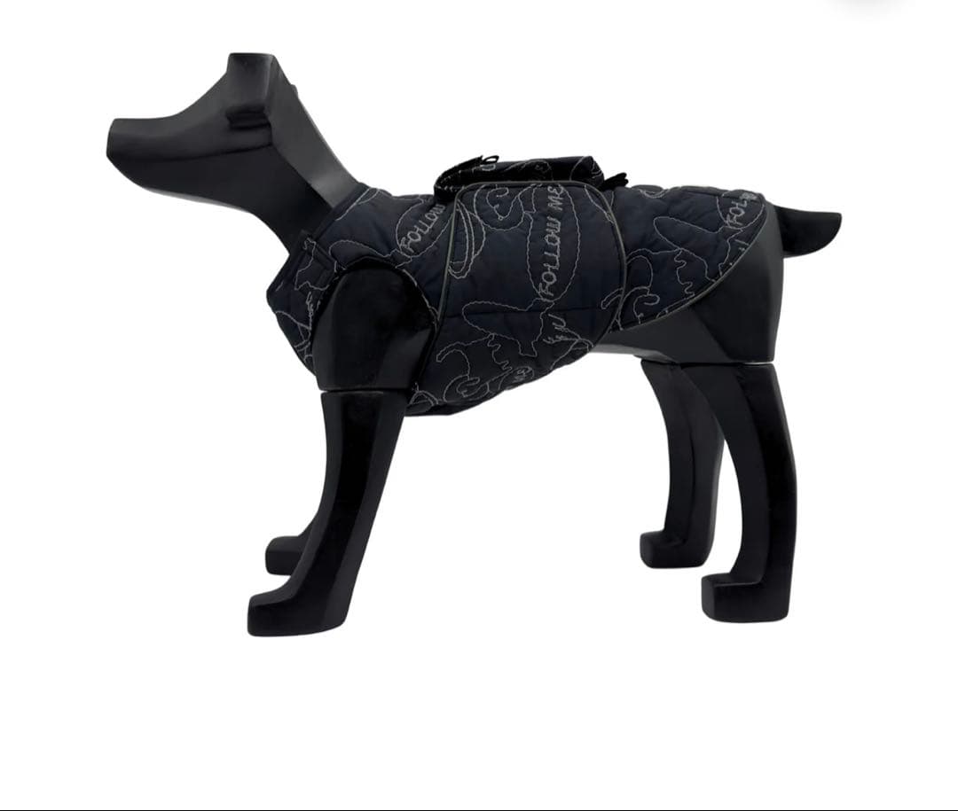 アルファアイコン エアライナー COSMIC 1L ポケット セット