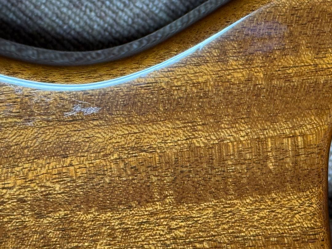 PRS FATBACK24 （custom24）