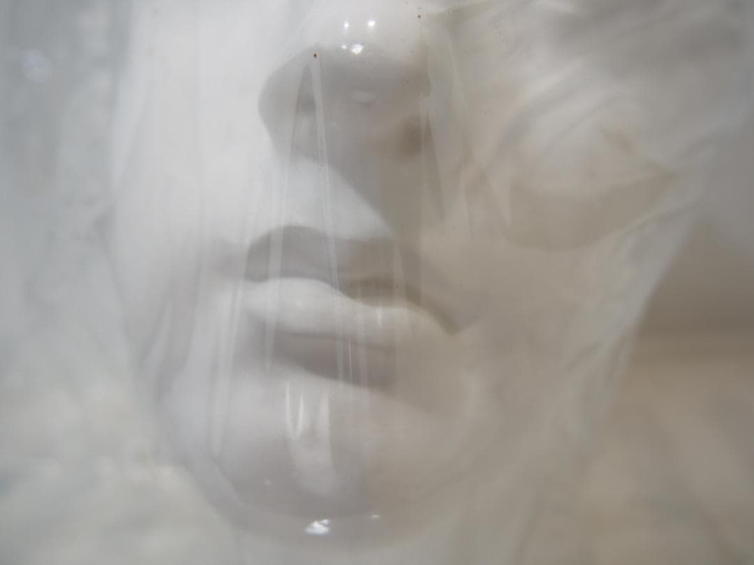 【石膏像】ミロのヴィーナス/美術 西洋彫刻 アート 置物 首像/新品・未使用