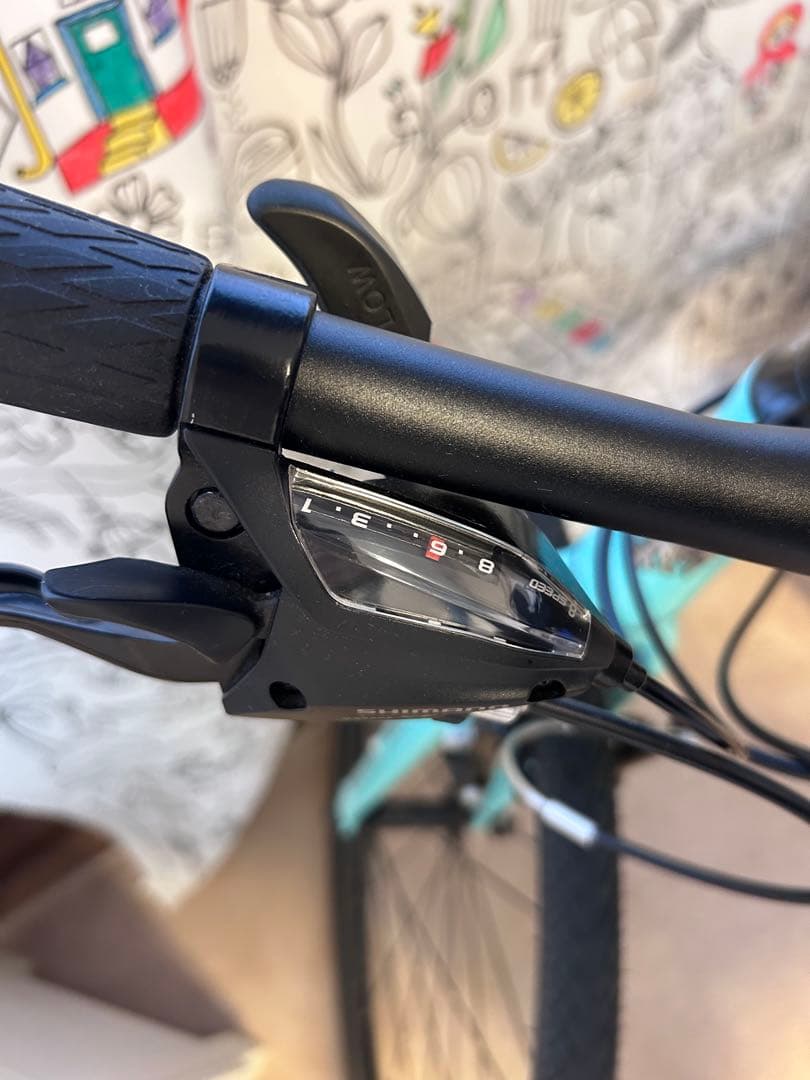 ビアンキ　クロスバイク