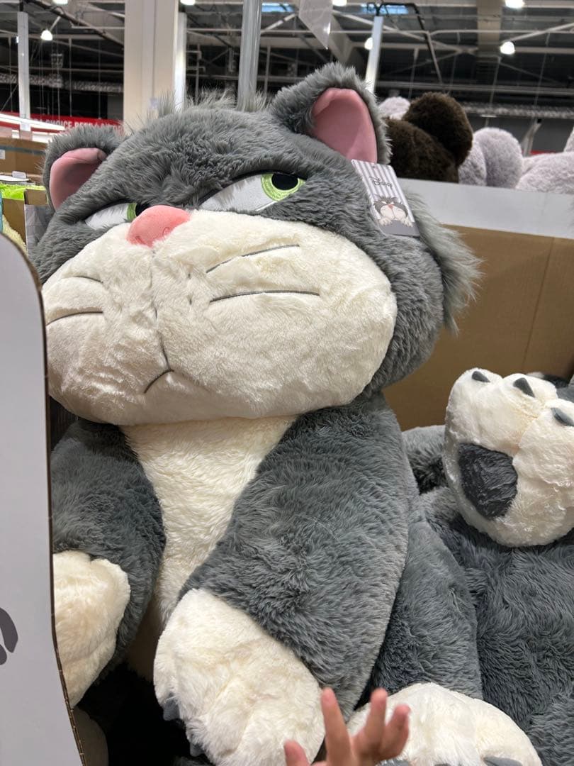 ルシファー　コストコ　ぬいぐるみ