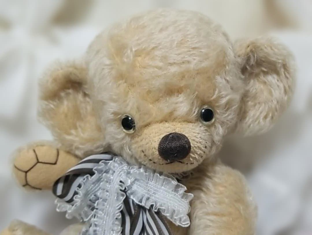 メリーソート×ファーネル　チーキー　15インチ