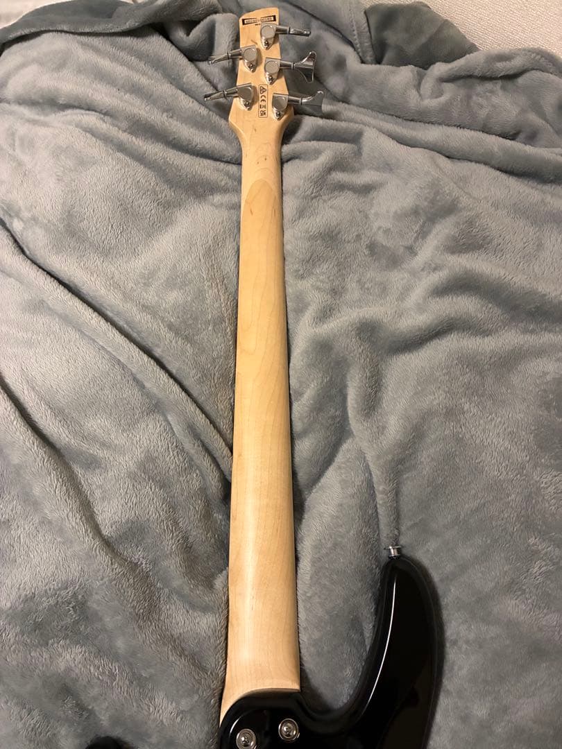 雪*。様 Ibanez GIOシリーズ 5弦エレキベース Black GSR20