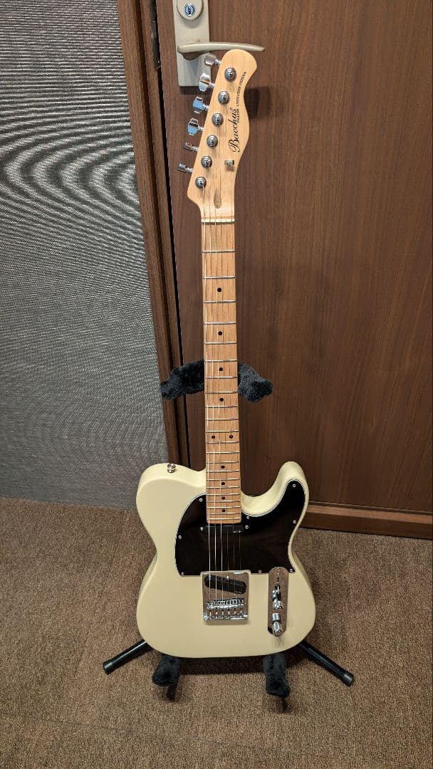 【本体ジャンク】Bacchus BTE-1M ＋EMG/GOTOH製パーツ