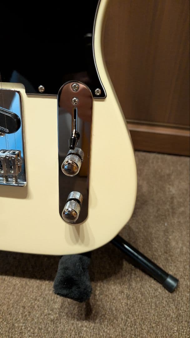 【本体ジャンク】Bacchus BTE-1M ＋EMG/GOTOH製パーツ