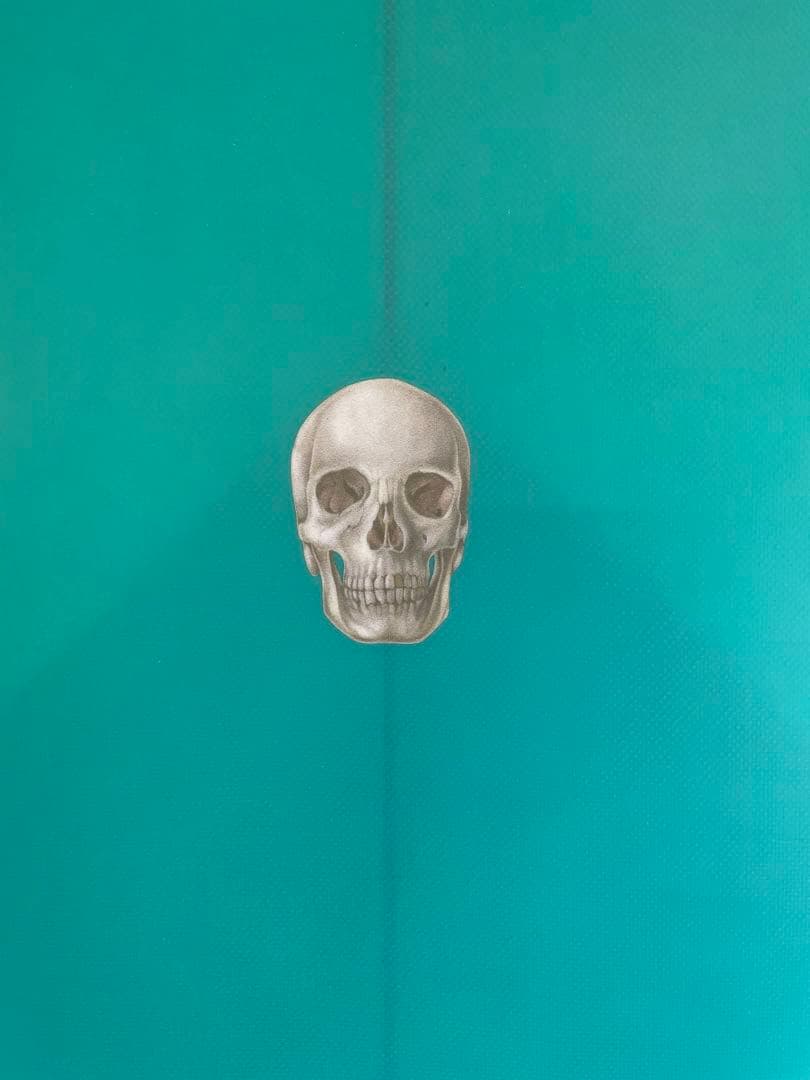 新品クリステンソンChristenson サーフボード5'9 Myconaut