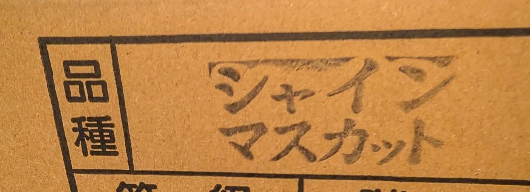 山梨県産ぶどう　シャインマスカット　9房入り箱込み約5.7kg