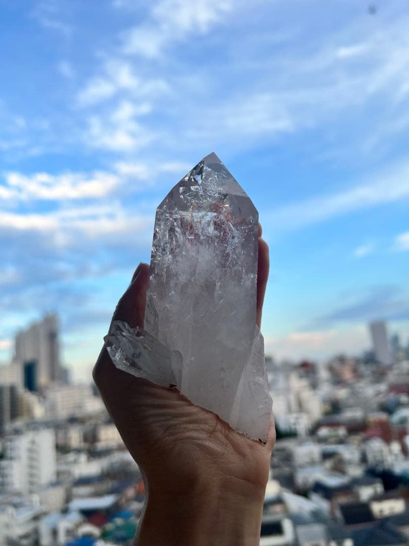 美✨超希少✨AAAAA 特大 コロンビアレムリアン✨my collection✨