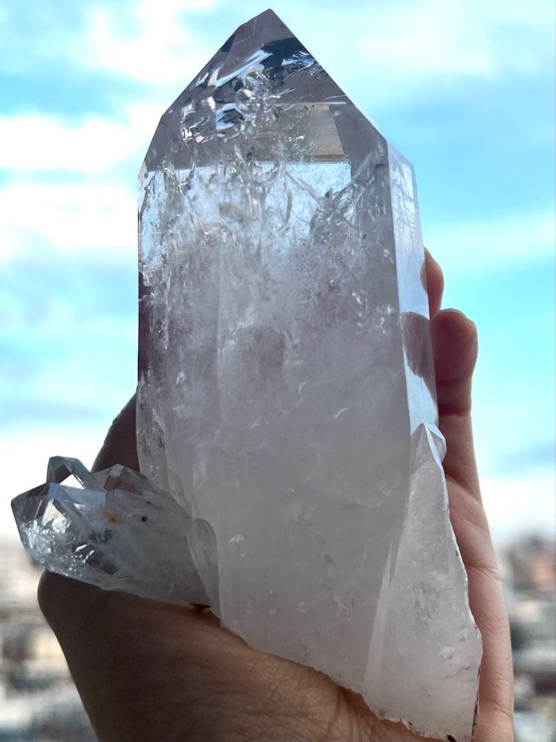 美✨超希少✨AAAAA 特大 コロンビアレムリアン✨my collection✨